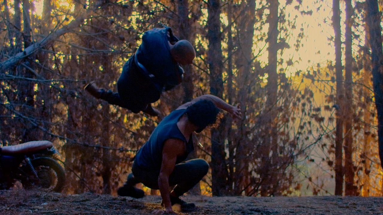 Die Faust des Condors : Bild