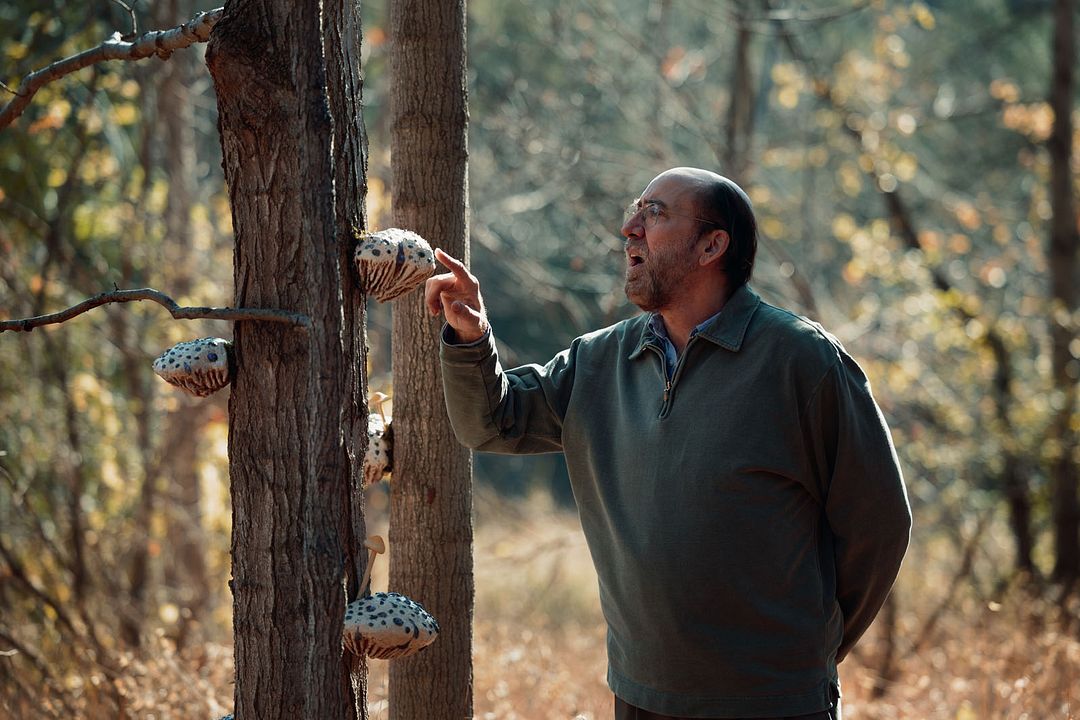 Dream Scenario : Bild Nicolas Cage