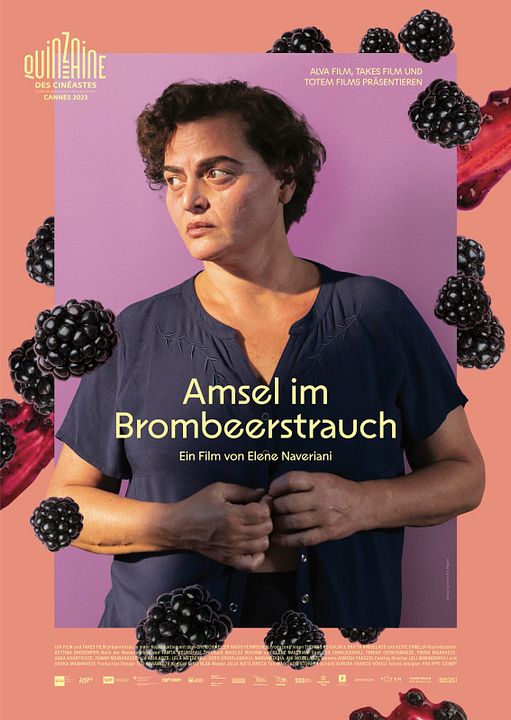 Amsel im Brombeerstrauch : Kinoposter