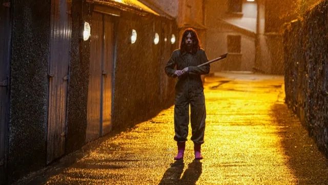 The Woman In The Wall : Bild