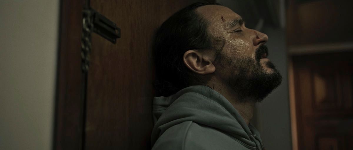 Bild David Pareja (II)