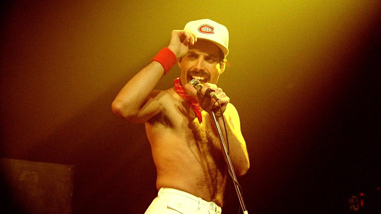 Bild Freddie Mercury