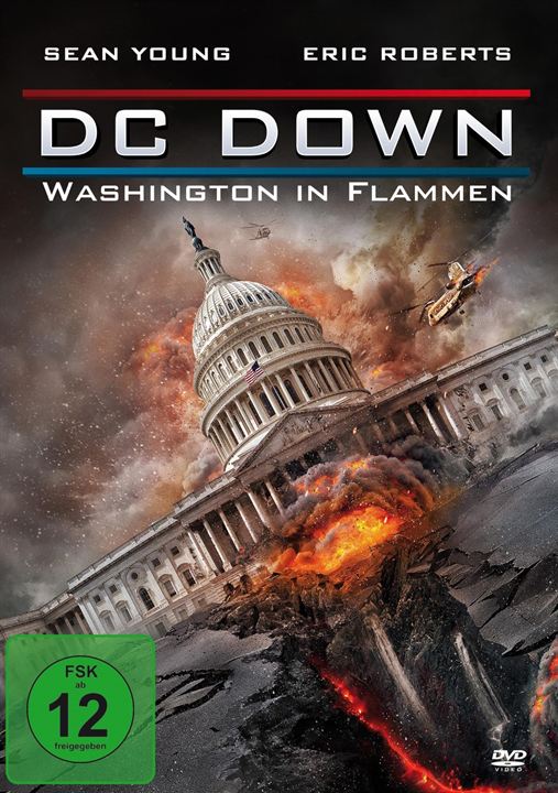 DC Down - Washington in Flammen : Kinoposter