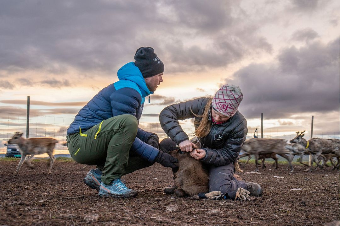 Beyond Tradition - Kraft der Naturstimmen : Bild