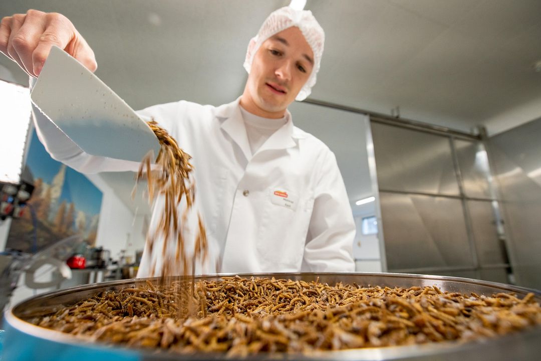 Beyond Tradition - Kraft der Naturstimmen : Bild