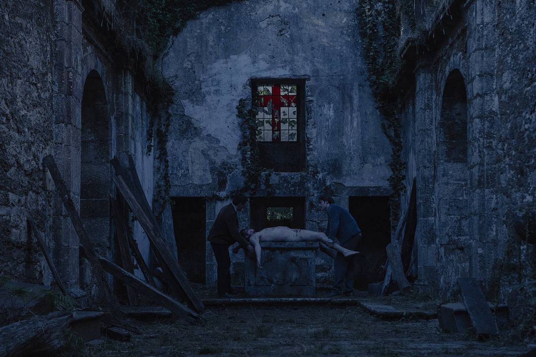 Die Gesandten : Bild