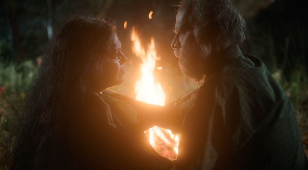 In the Belly of a Tiger : Bild