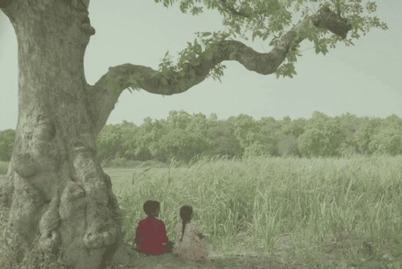 In the Belly of a Tiger : Bild