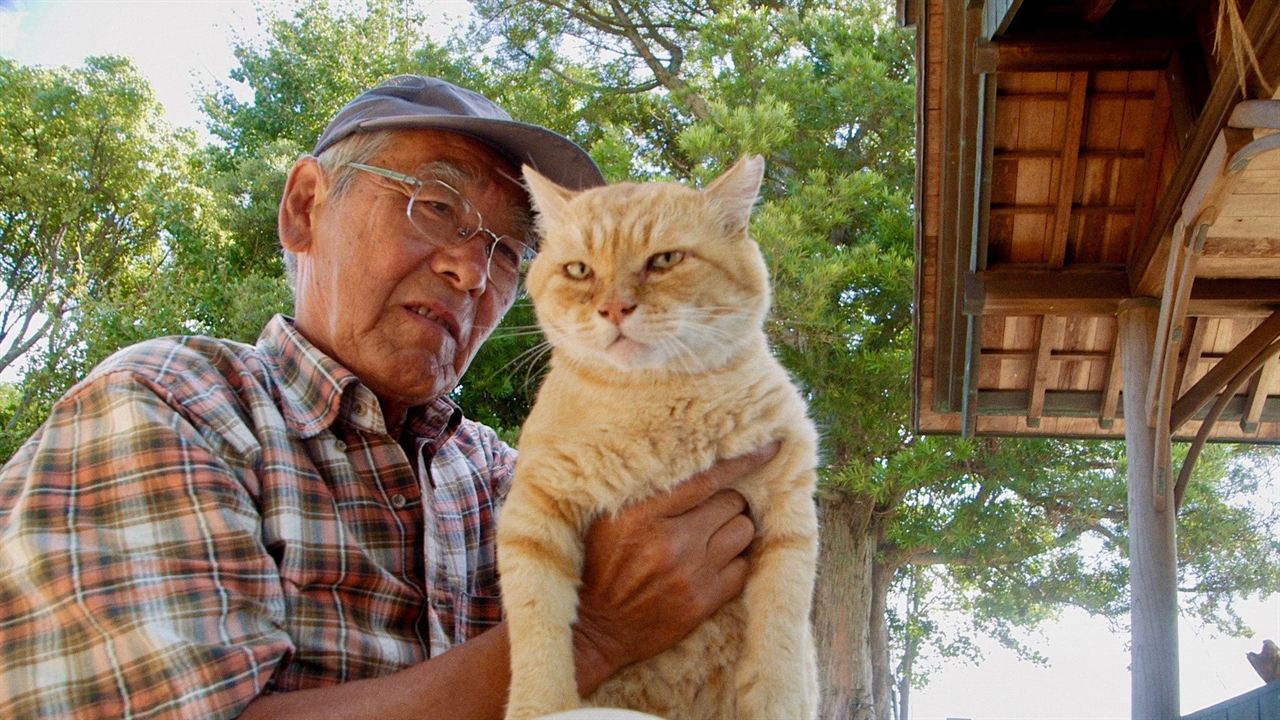 Die Katzen vom Gokogu-Schrein : Bild