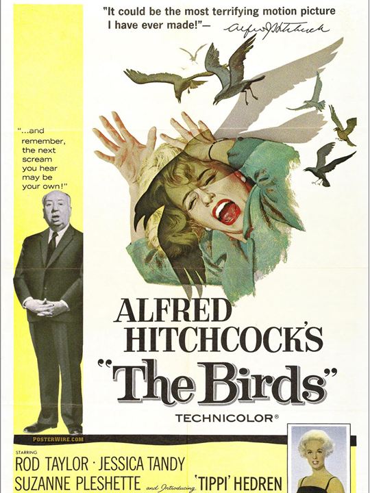 Die Vögel : Kinoposter