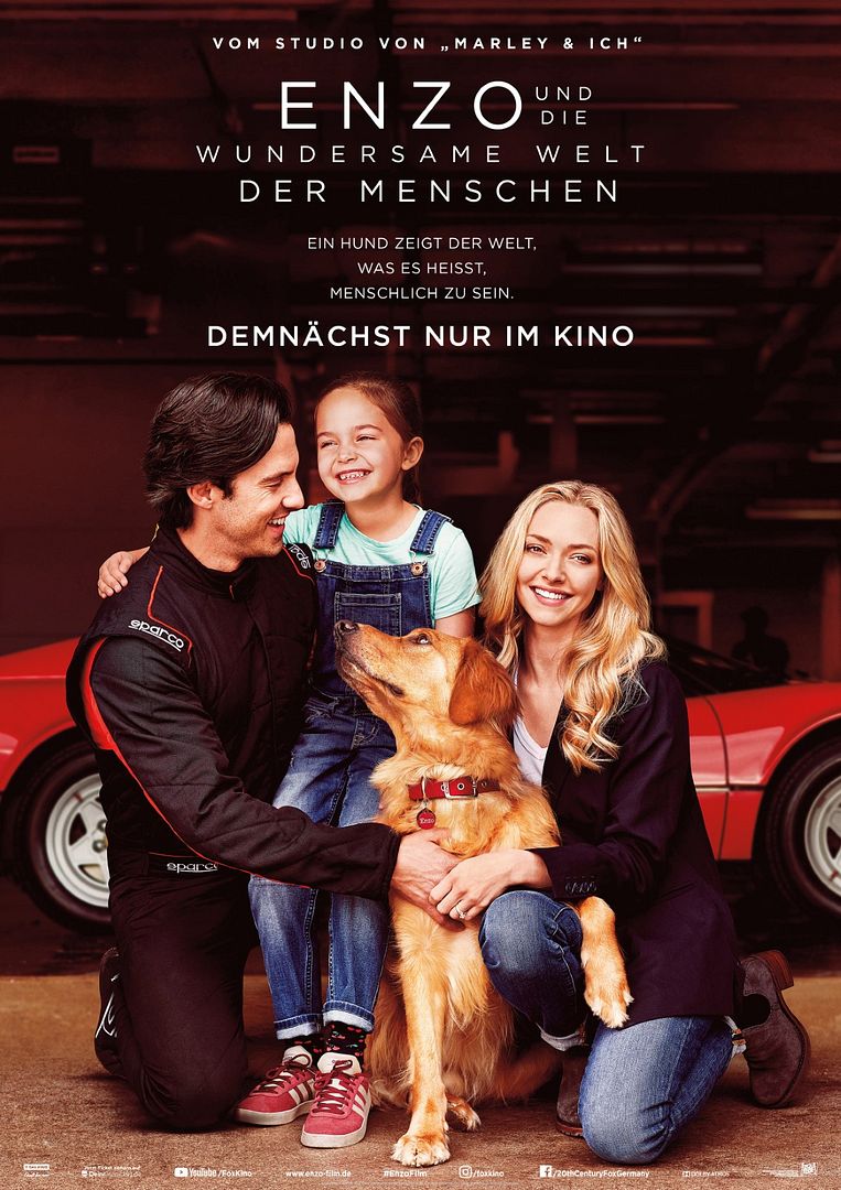 Enzo und die wundersame Welt der Menschen Enzo und die wundersame Welt der Menschen