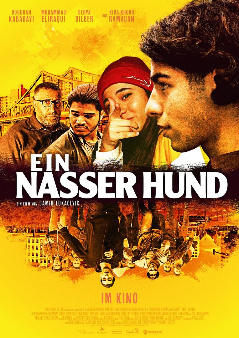 Ein nasser Hund Ein nasser Hund