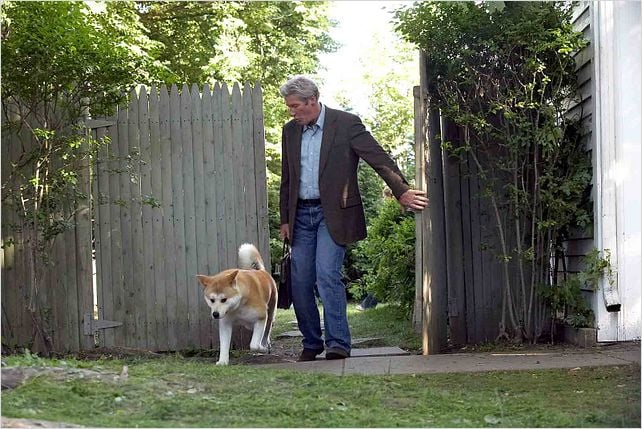 Hachiko - Eine wunderbare Freundschaft : Bild Richard Gere - Hachiko - Eine wunderbare ...