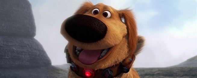 Wie in "Oben": Dug, den sprechenden Hund, es jetzt auch in echt – zumindest fast Kino News - FILMSTARTS.de