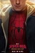 Spider-Man 4: Brand New Day