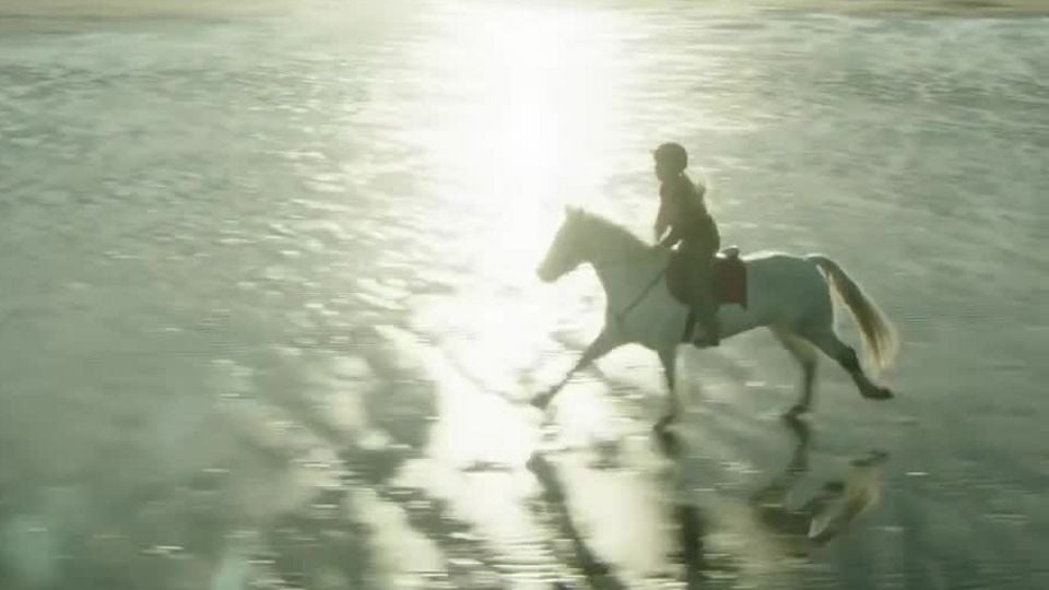 Die Legende der weißen Pferde Trailer - Die Legende der weißen Pferde