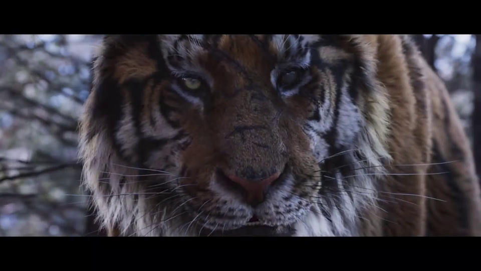 The Tiger Legende einer Jagd Trailer The Tiger Trailer OmeU FILMSTARTS.de