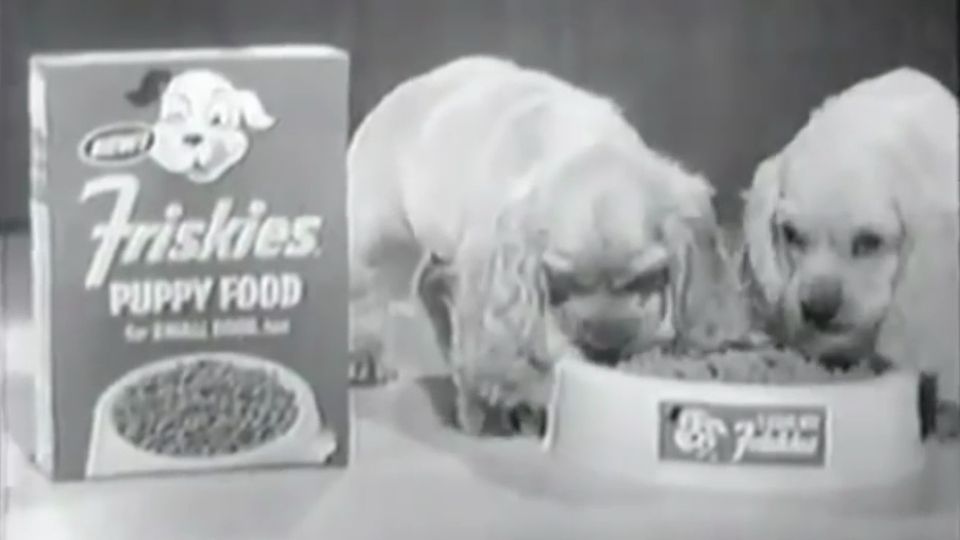 Pet Fooled Trailer Pet Fooled Trailer OV FILMSTARTS.de