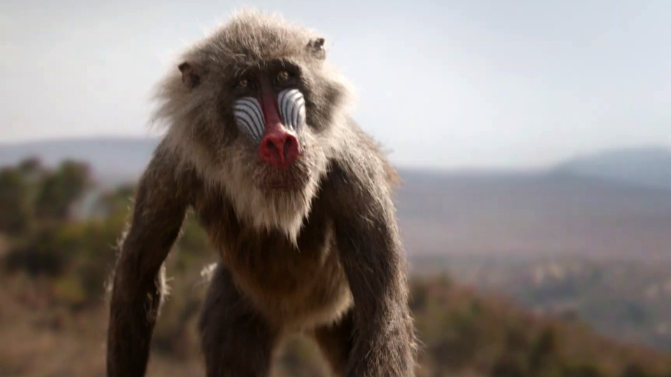 Der König der Löwen Teaser Der König der Löwen TeaserSpot (2) DF FILMSTARTS.de