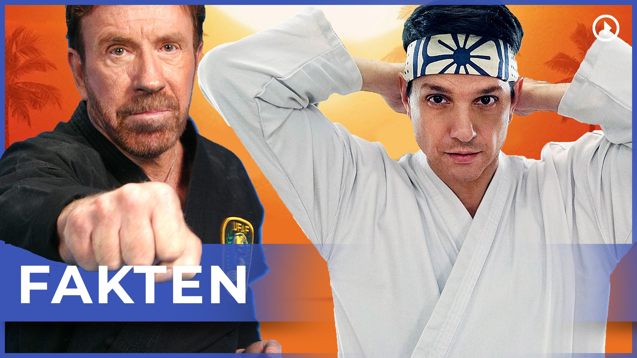 Acteur Karaté Kid Et Cobra Kai