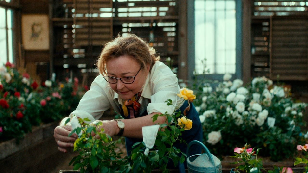 45+ Der Rosen Garten De, Zusammenfassung sowie eine erläuterung zur