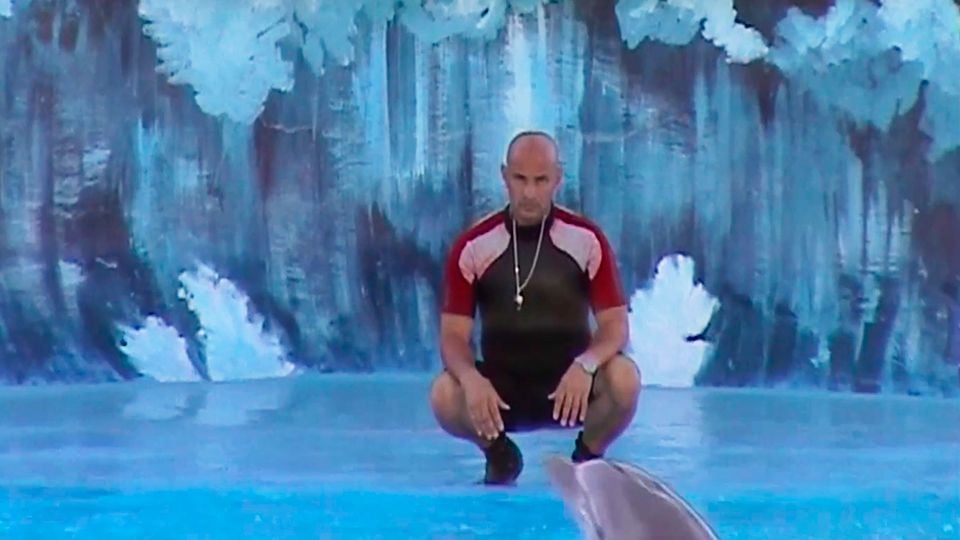 Was Geschah Mit Dem Delfin König Was geschah mit dem Delfin-König? Trailer - Was geschah mit dem Delfin